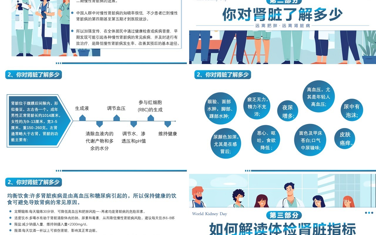 蓝色插画风全民肾脏健康世界肾脏日介绍PPT模板