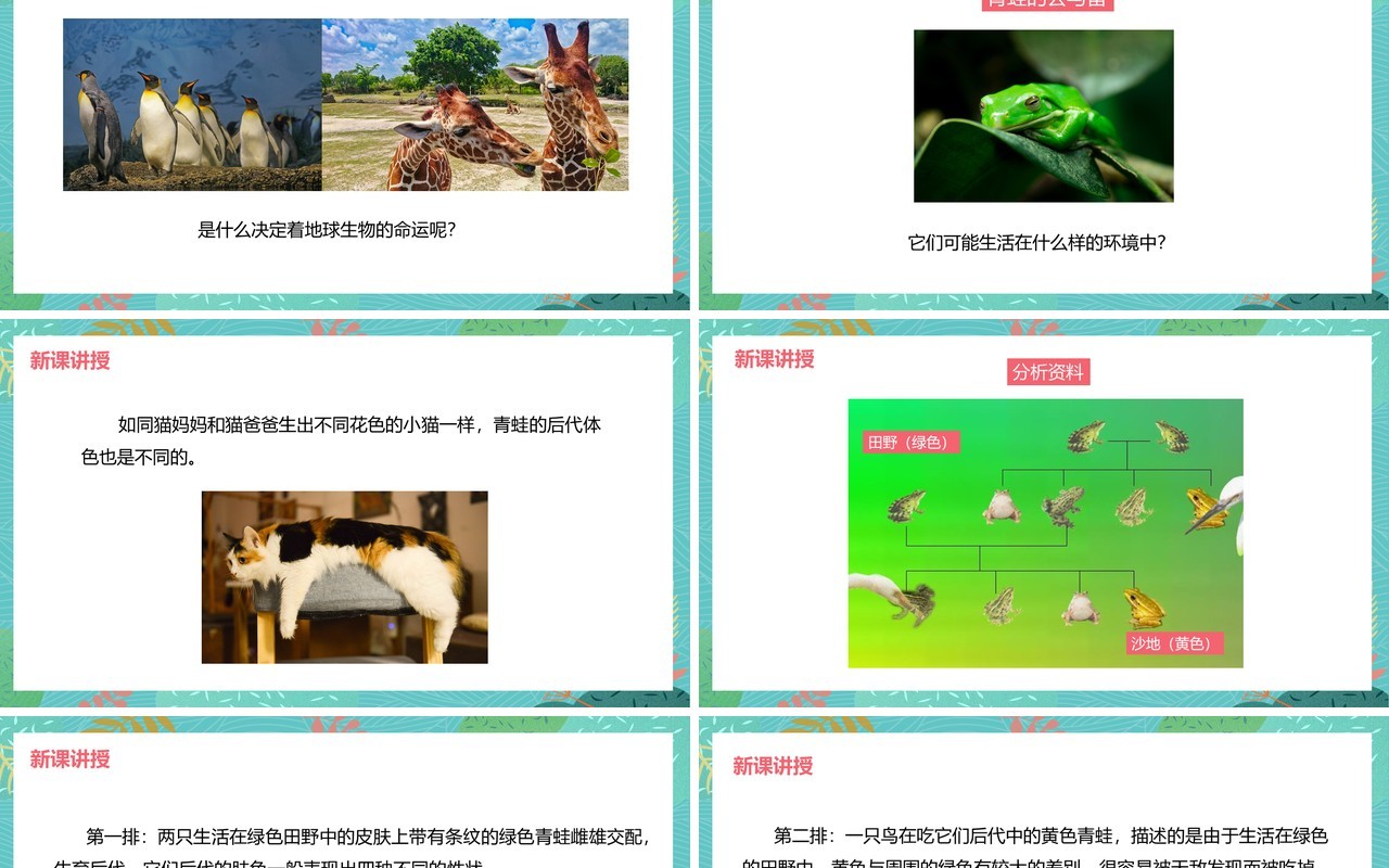 教科版六年级科学上册谁选择了它们PPT模板
