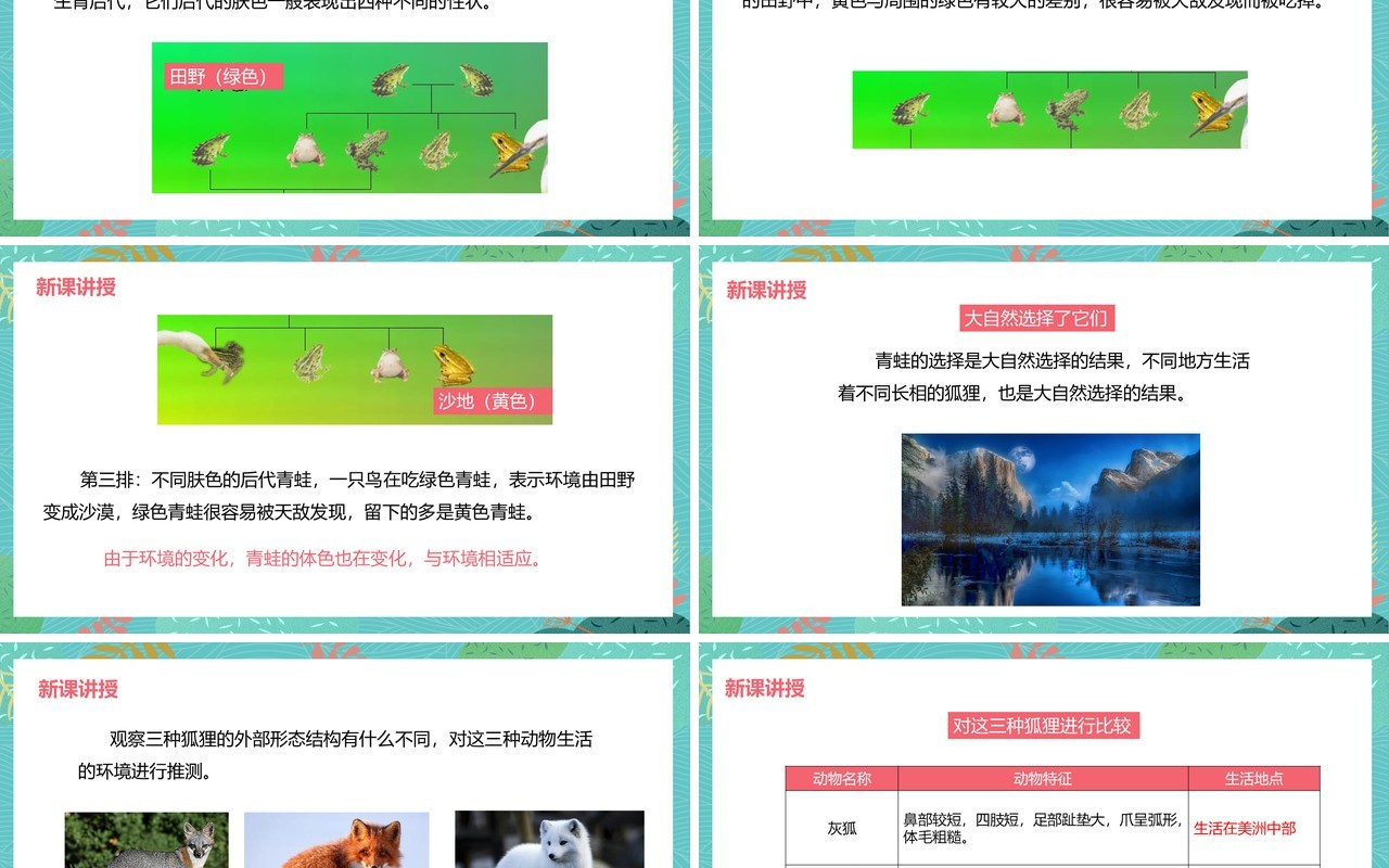 教科版六年级科学上册谁选择了它们PPT模板