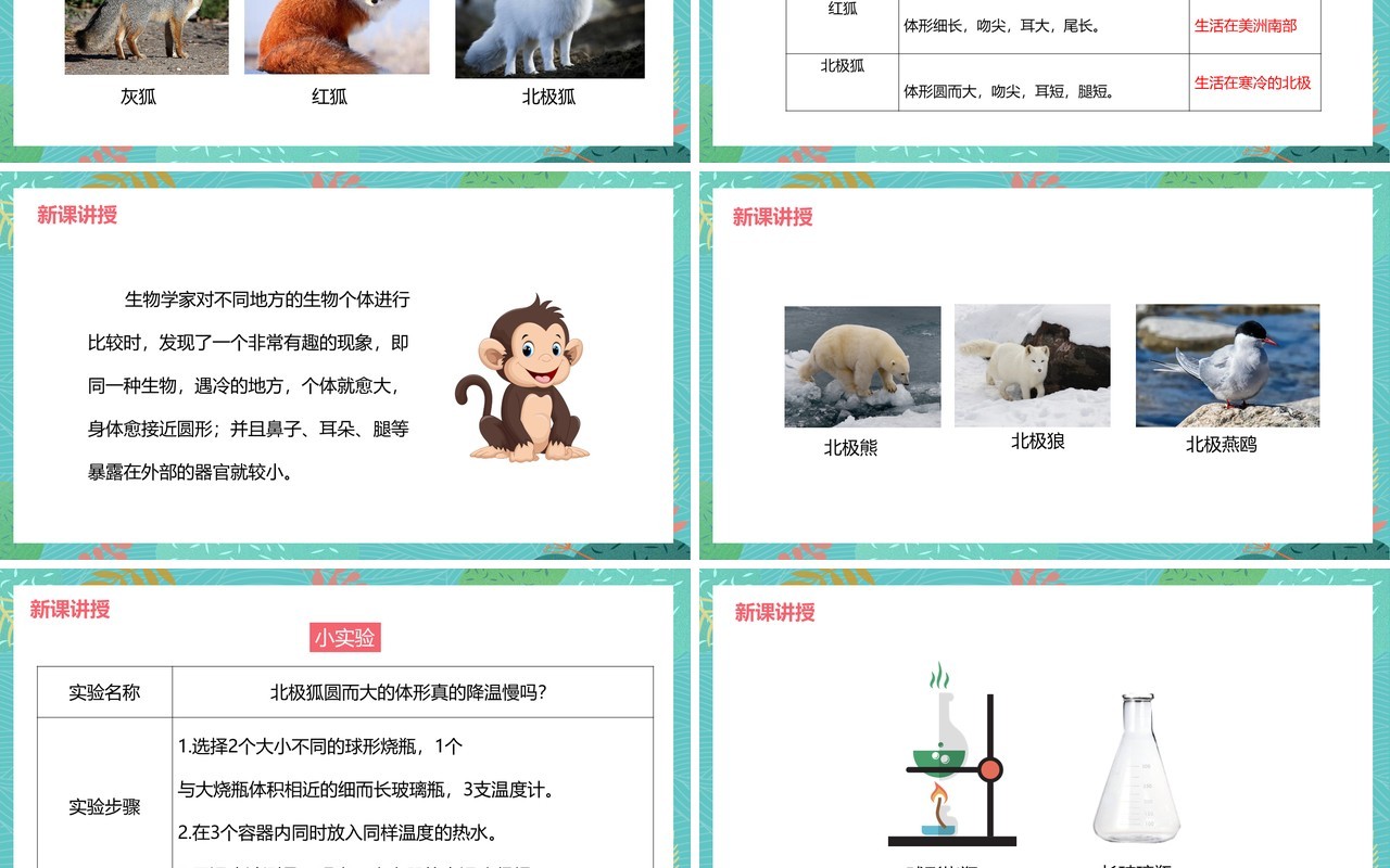 教科版六年级科学上册谁选择了它们PPT模板