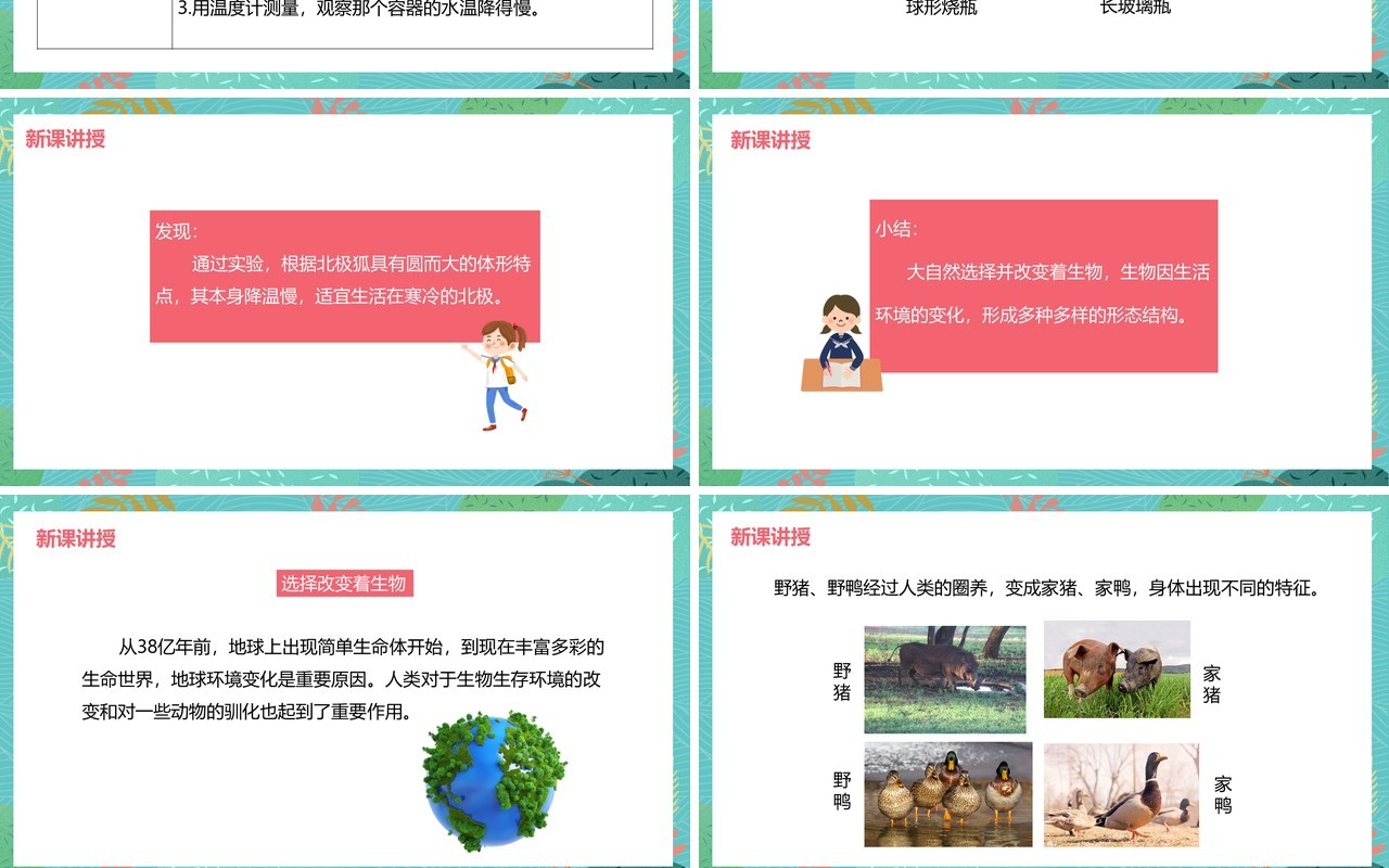 教科版六年级科学上册谁选择了它们PPT模板