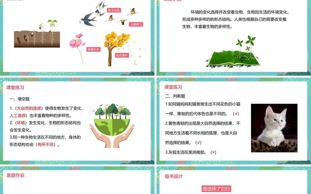 教科版六年级科学上册谁选择了它们PPT模板