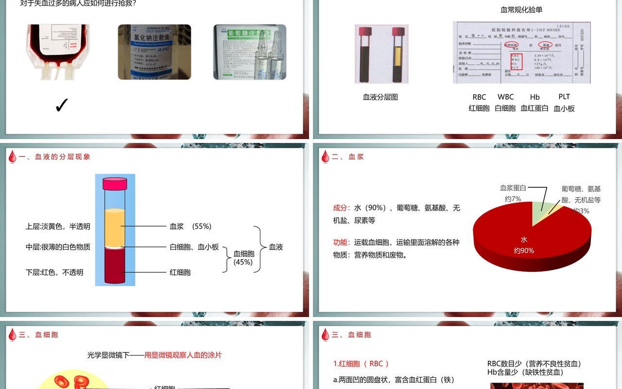 部编版七年级下册生物输血与血型课件PPT模板