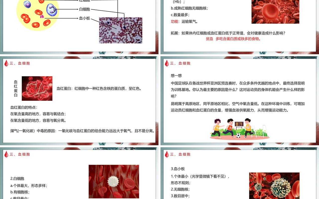 部编版七年级下册生物输血与血型课件PPT模板