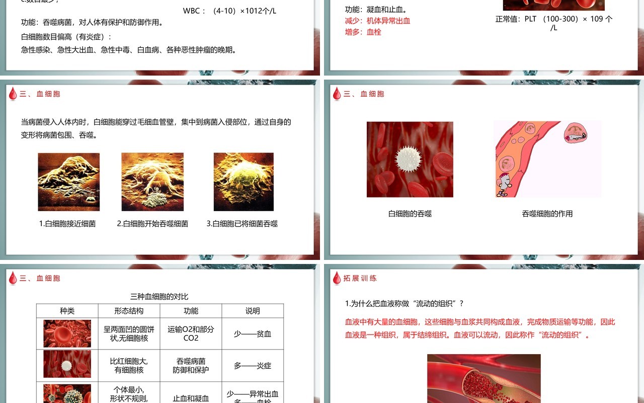 部编版七年级下册生物输血与血型课件PPT模板