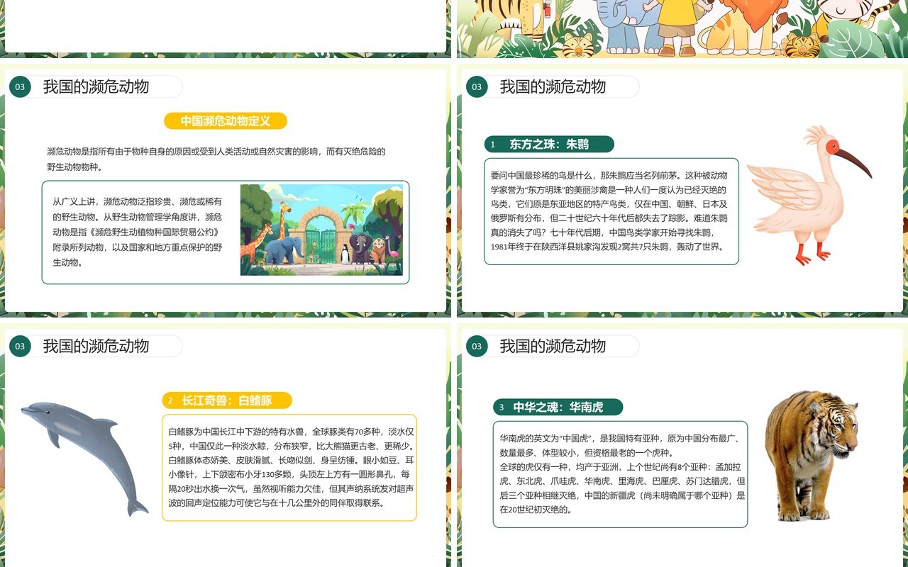 绿色插画风世界动物日介绍PPT模板