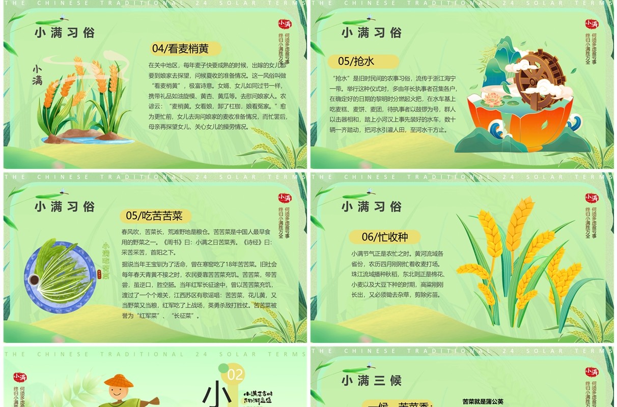 绿色清新插画风二十四节气之小满PPT模板