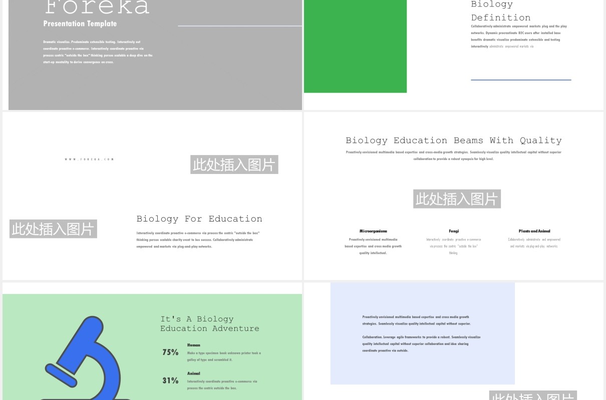 生物教育医疗医院人体模型PPT模板Foreka - Biology Education Powerpoint