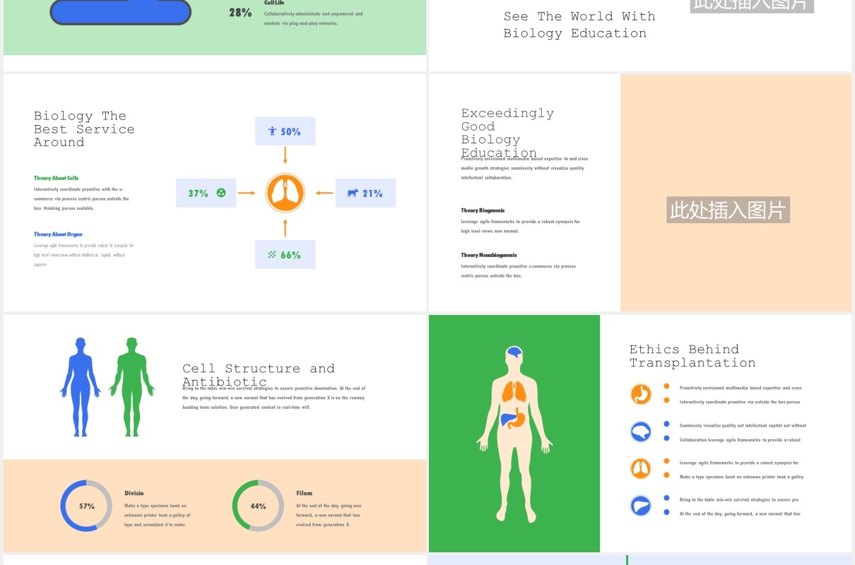 生物教育医疗医院人体模型PPT模板Foreka - Biology Education Powerpoint