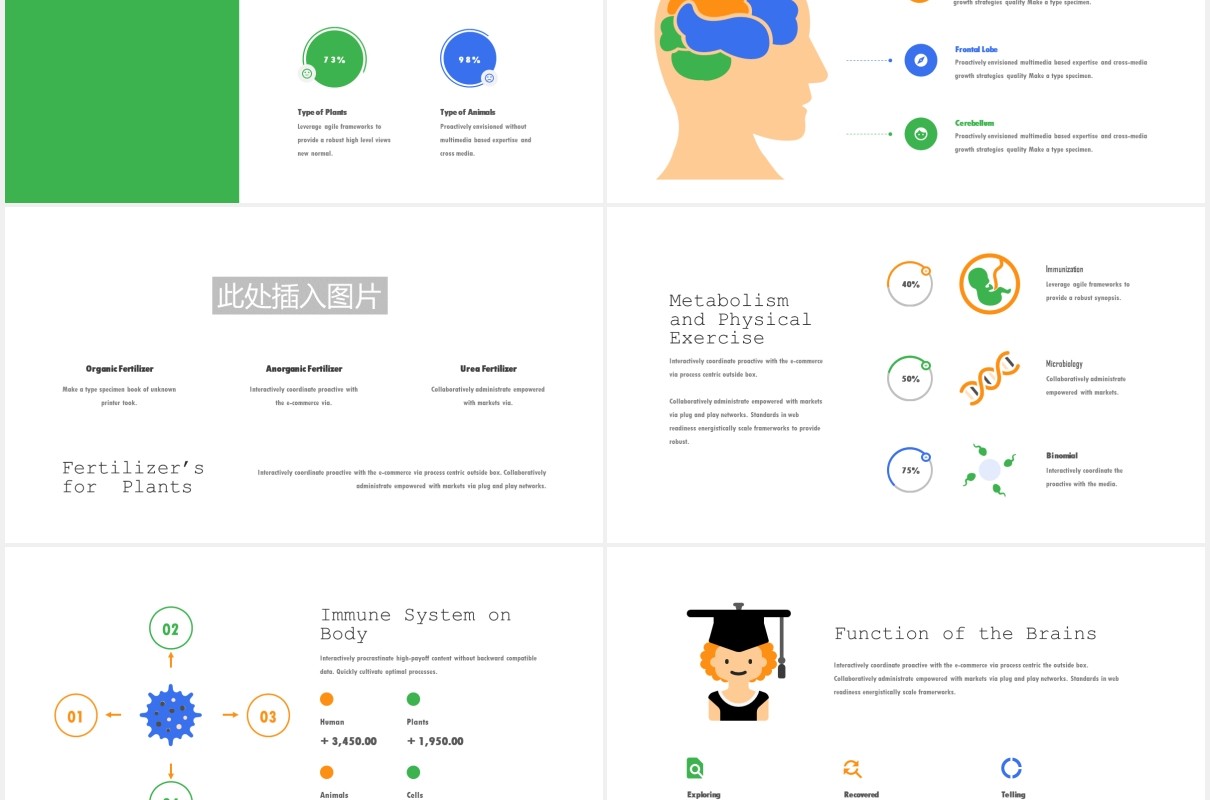 生物教育医疗医院人体模型PPT模板Foreka - Biology Education Powerpoint