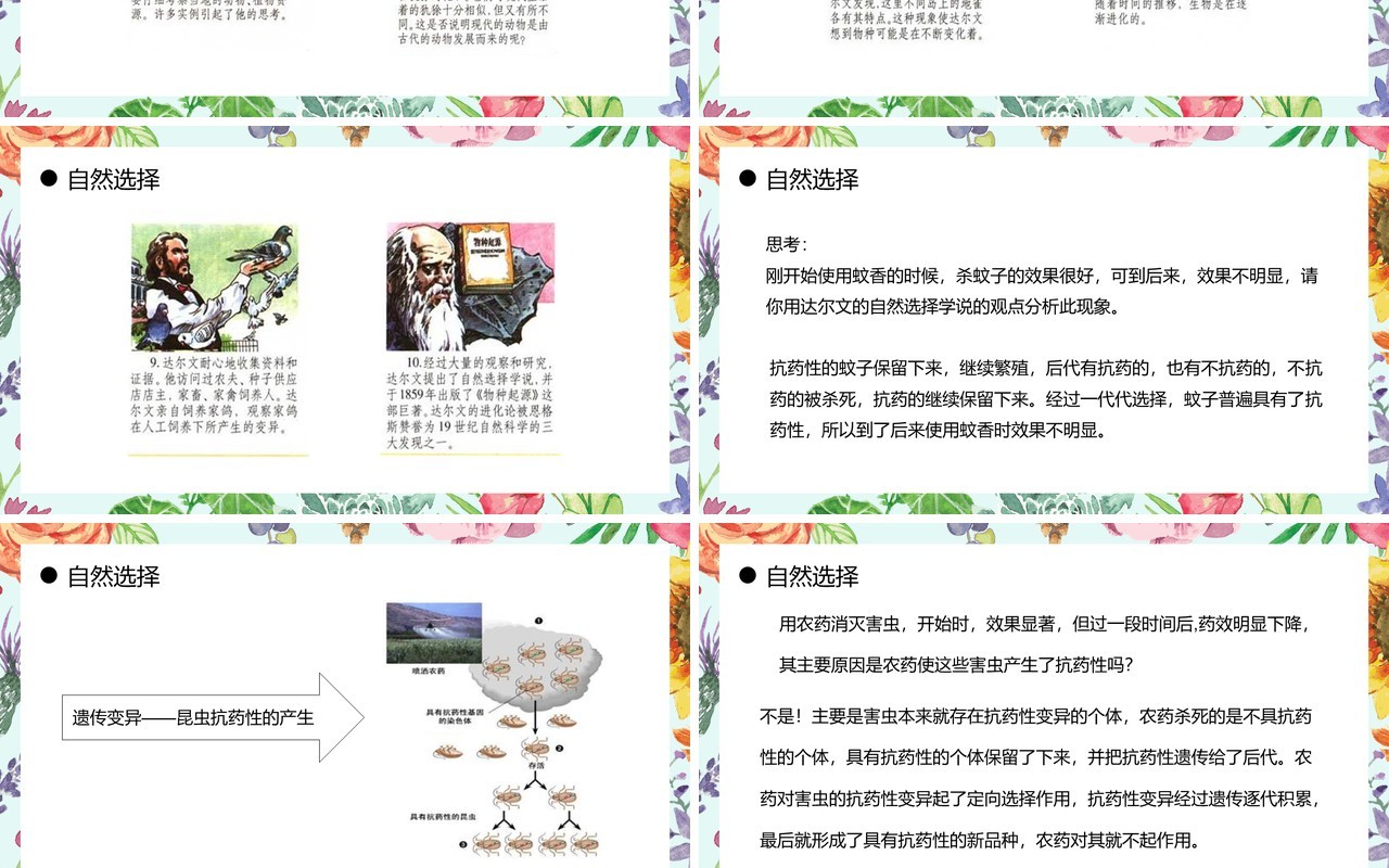 部编版八年级生物下册生物进化的原因课件PPT模板