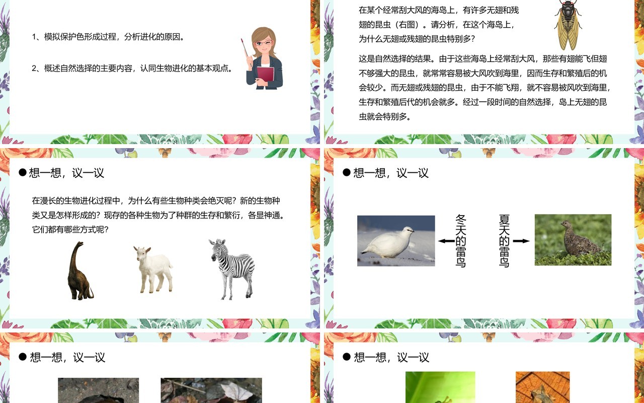 部编版八年级生物下册生物进化的原因课件PPT模板
