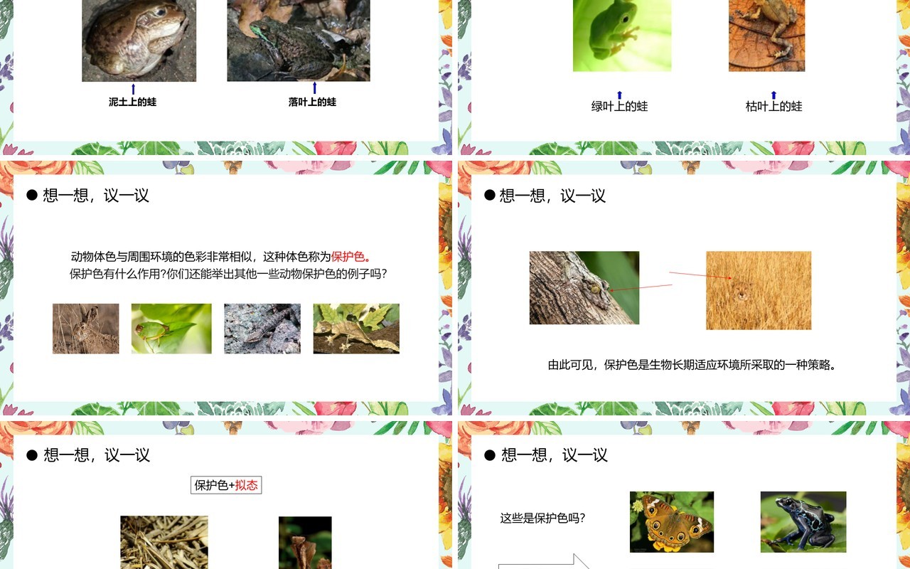 部编版八年级生物下册生物进化的原因课件PPT模板