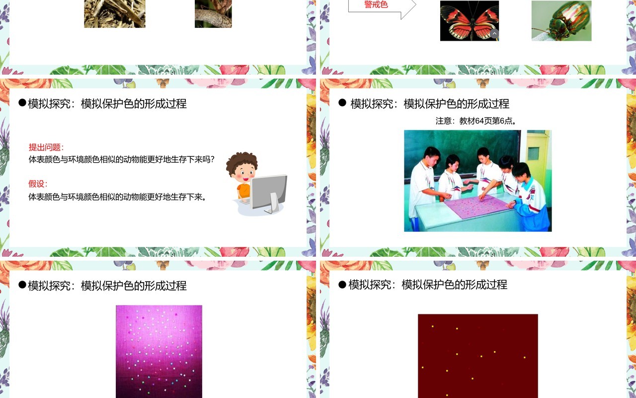 部编版八年级生物下册生物进化的原因课件PPT模板