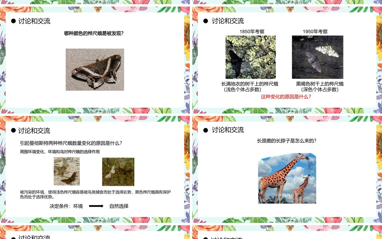 部编版八年级生物下册生物进化的原因课件PPT模板