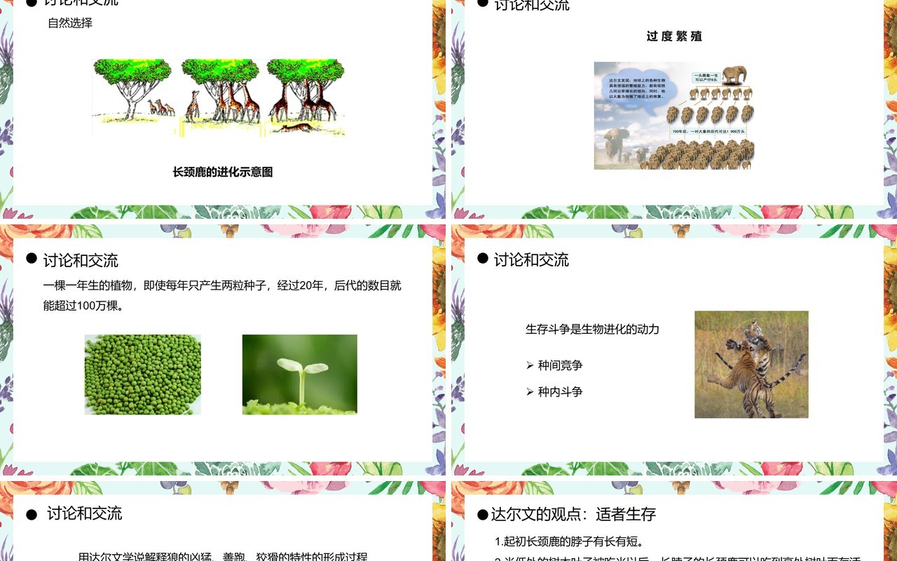 部编版八年级生物下册生物进化的原因课件PPT模板