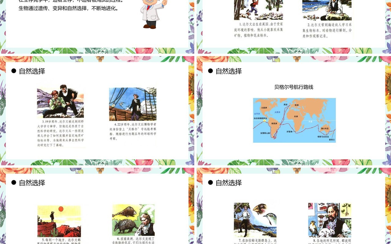 部编版八年级生物下册生物进化的原因课件PPT模板