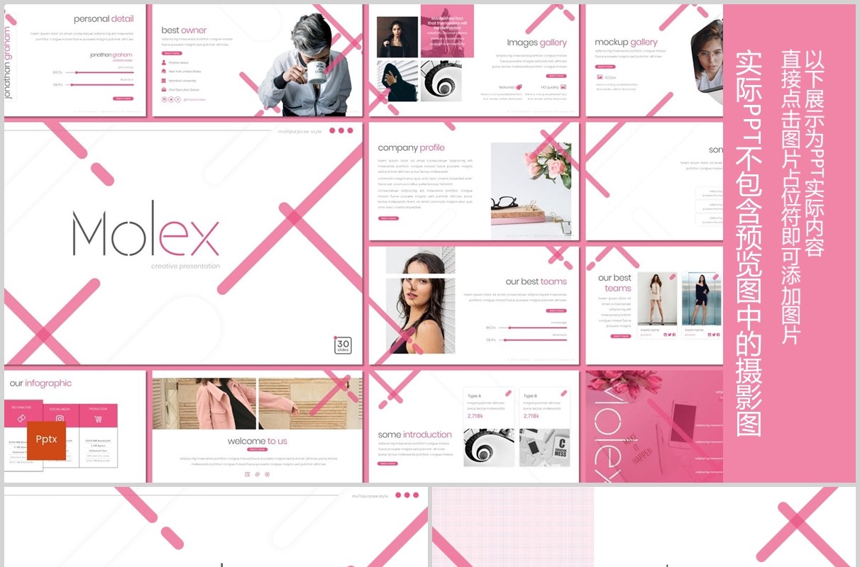 时尚商业项目计划书PPT模板版式设计Molex Powerpoint Template
