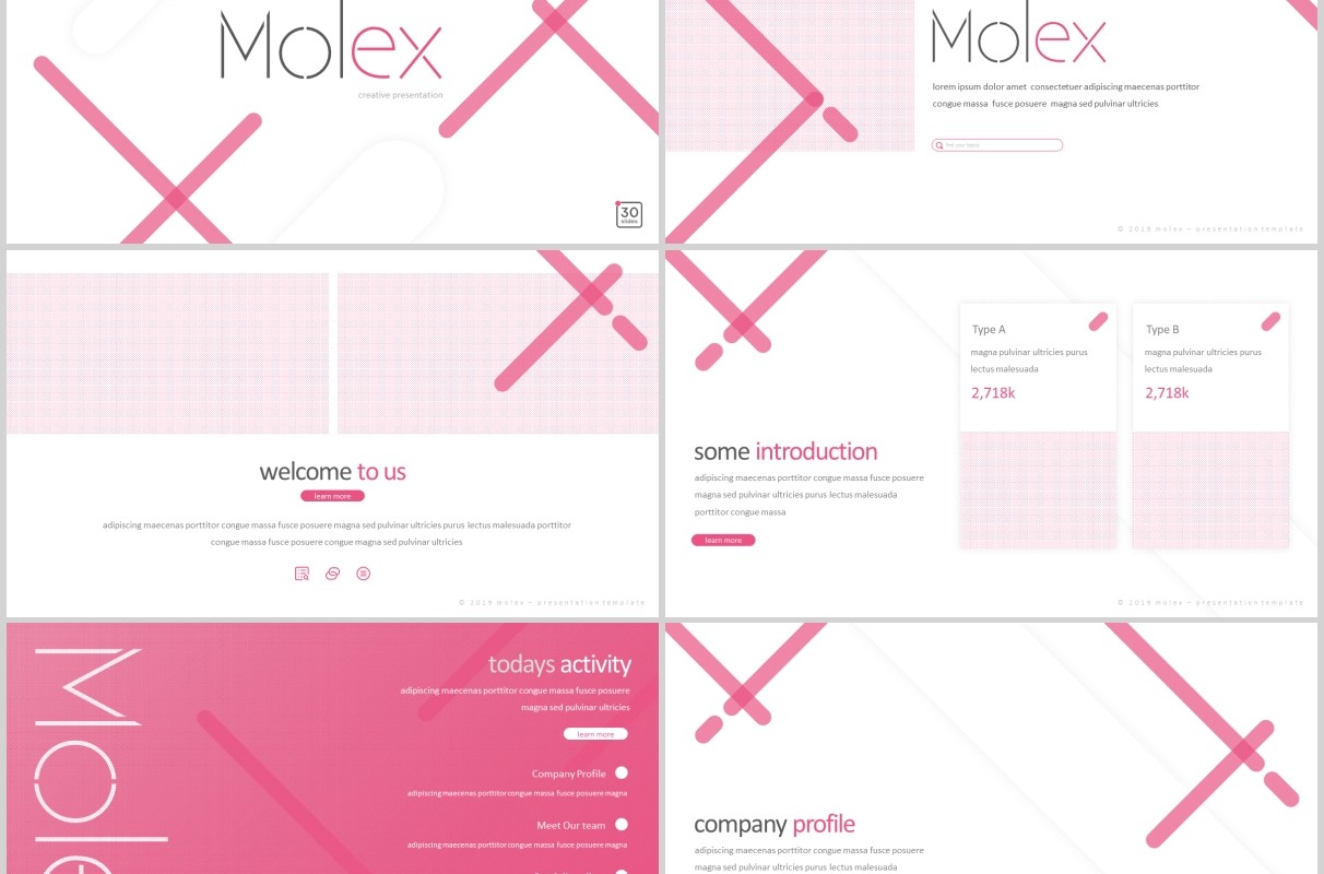 时尚商业项目计划书PPT模板版式设计Molex Powerpoint Template