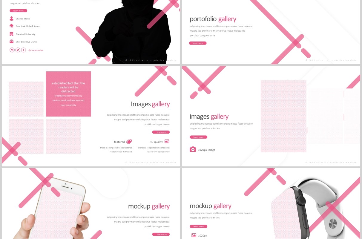 时尚商业项目计划书PPT模板版式设计Molex Powerpoint Template