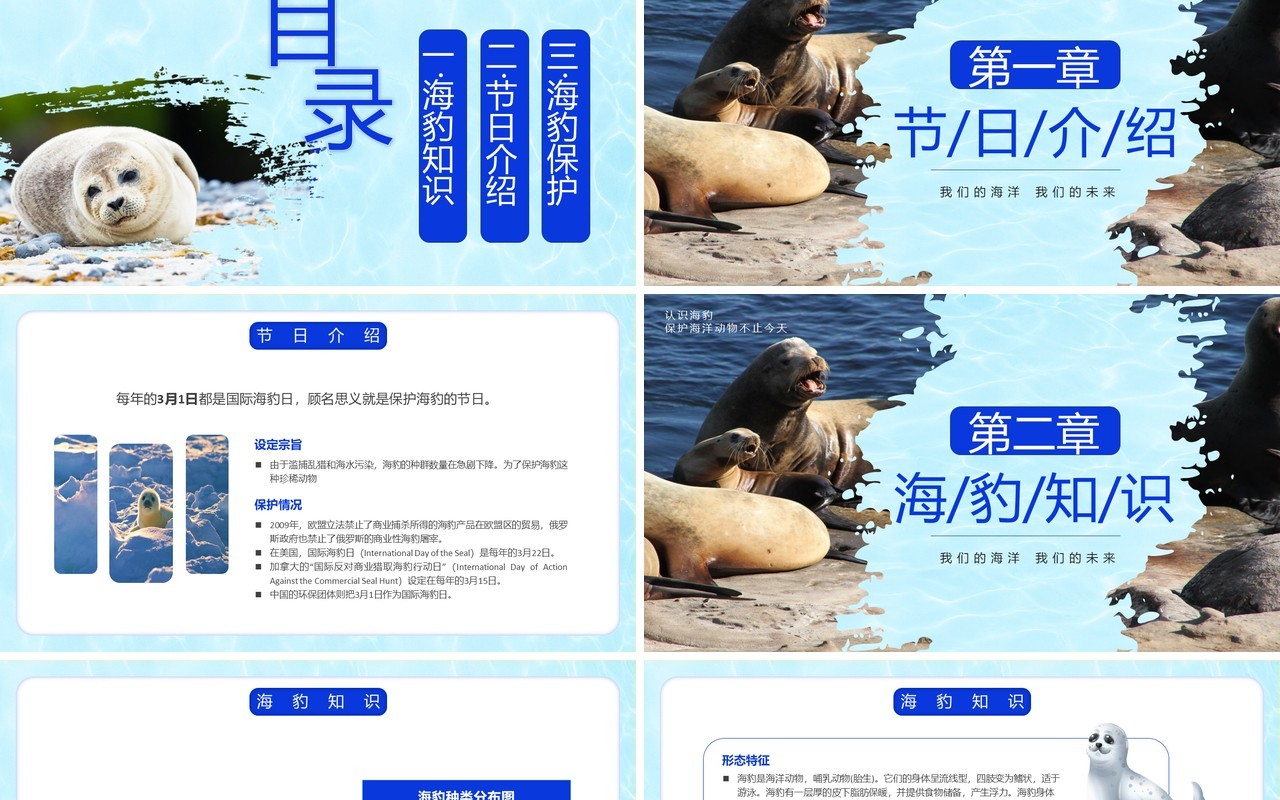 蓝色简约风国际海豹日PPT模板