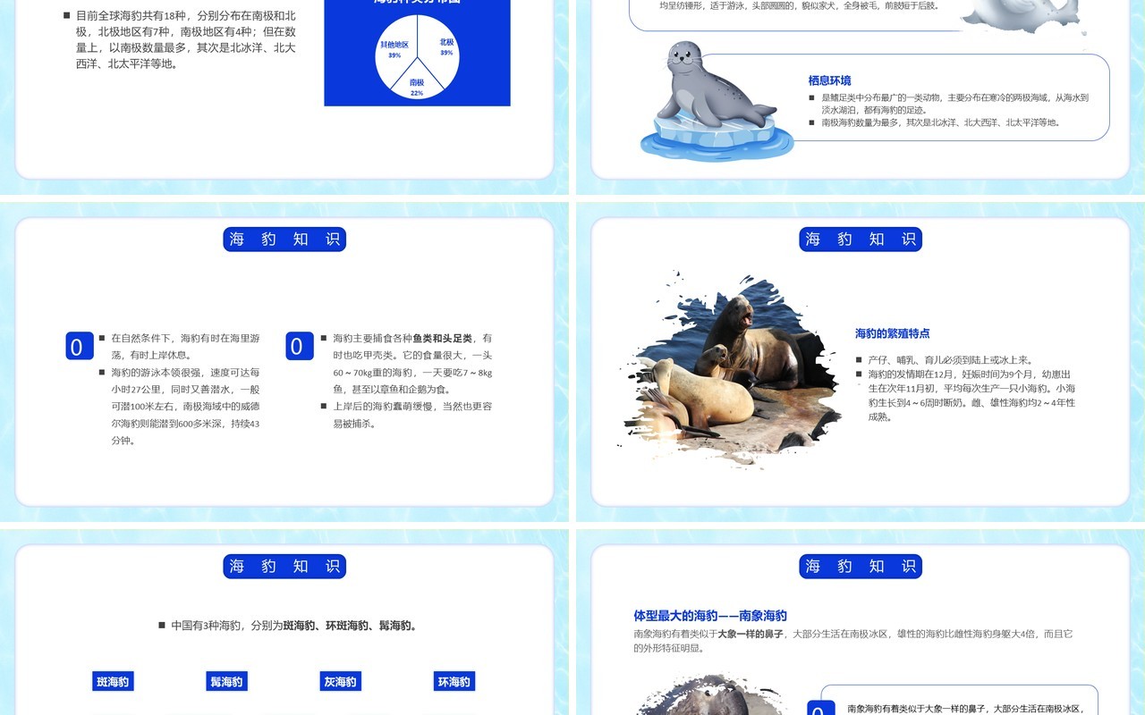 蓝色简约风国际海豹日PPT模板