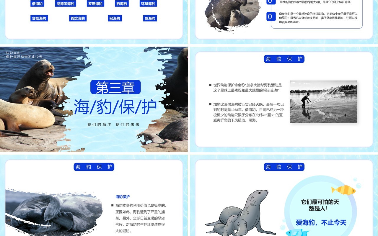 蓝色简约风国际海豹日PPT模板