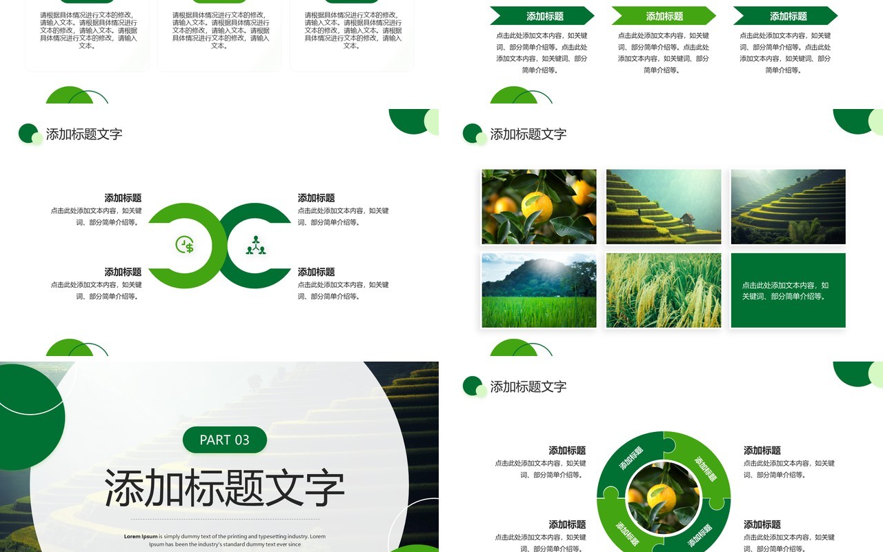 绿色简约风大学生暑假三下乡社会实践PPT模板