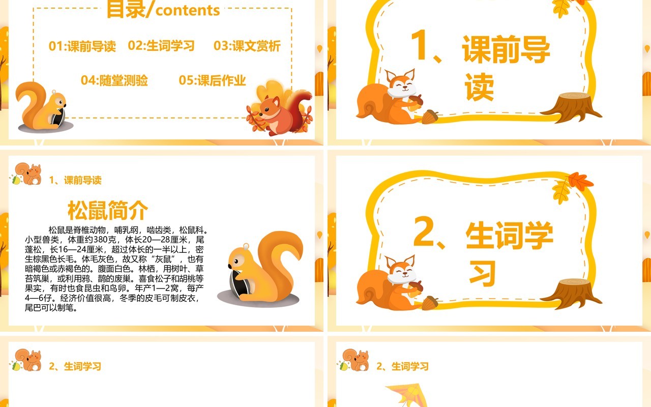 部编版五年级语文上册松鼠课件PPT模板