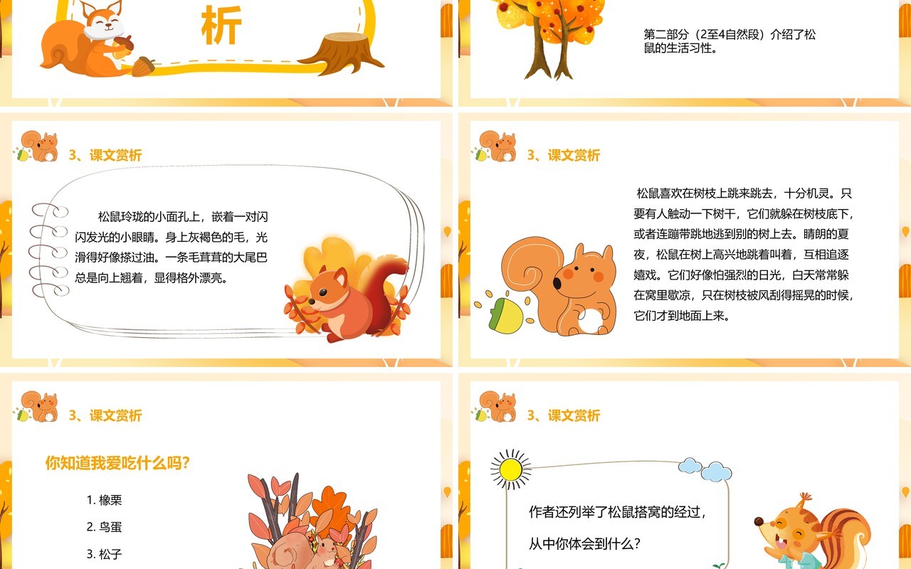 部编版五年级语文上册松鼠课件PPT模板