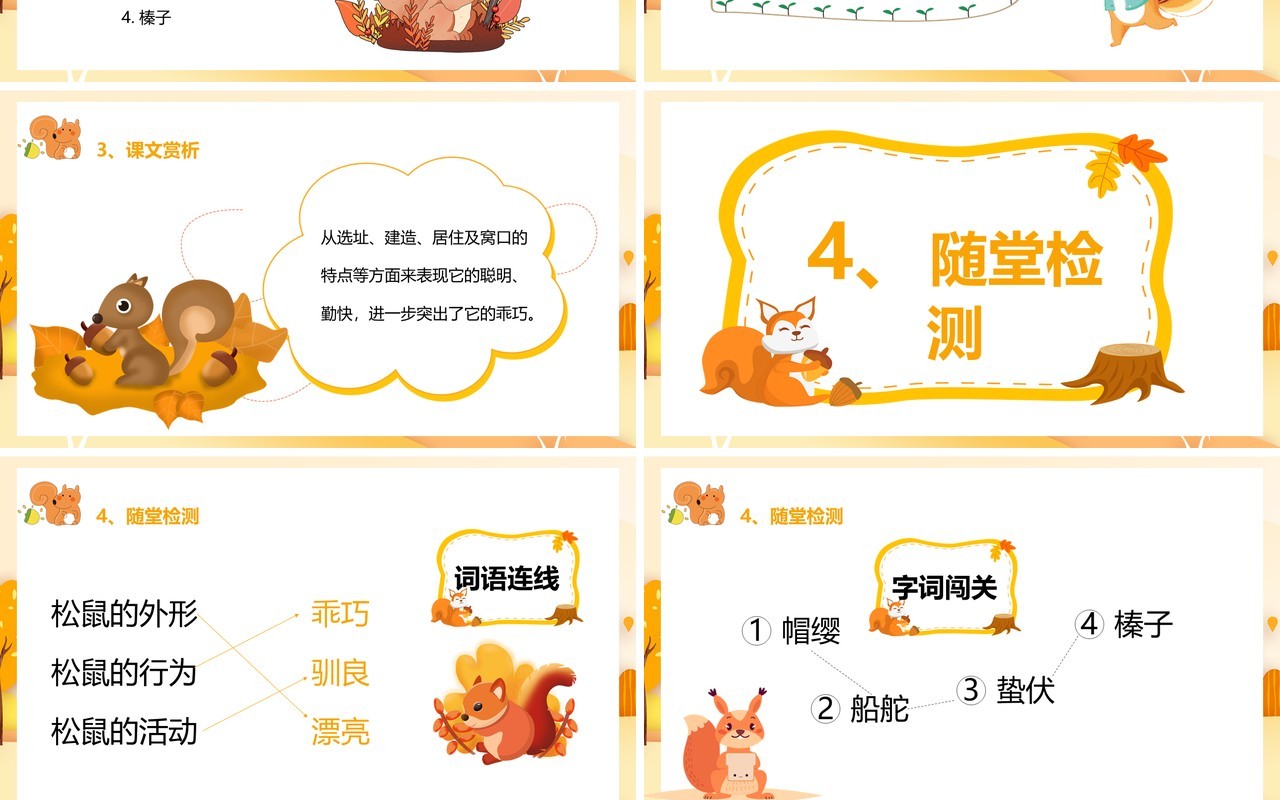 部编版五年级语文上册松鼠课件PPT模板
