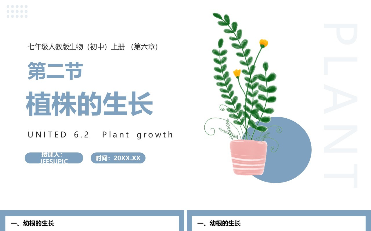 部编版七年级生物上册植株的生长课件PPT模板