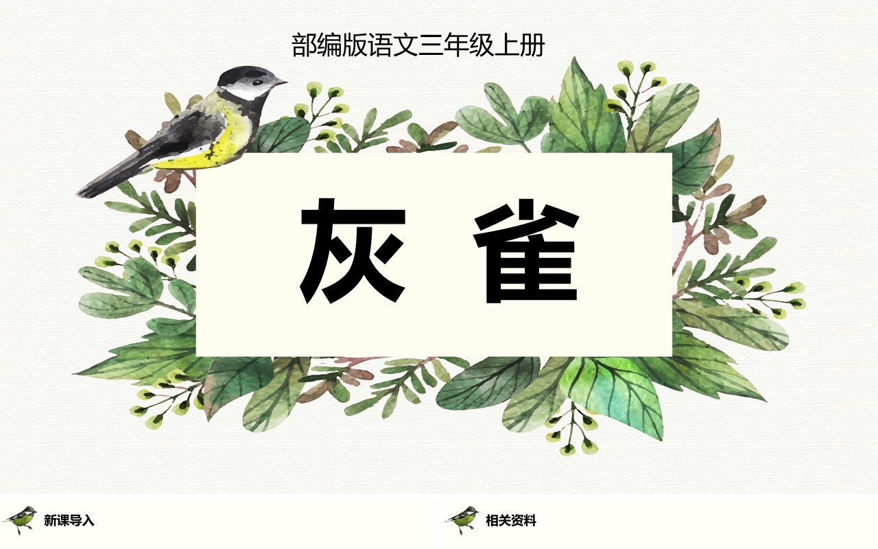 部编版三年级语文上册灰雀课件PPT模板