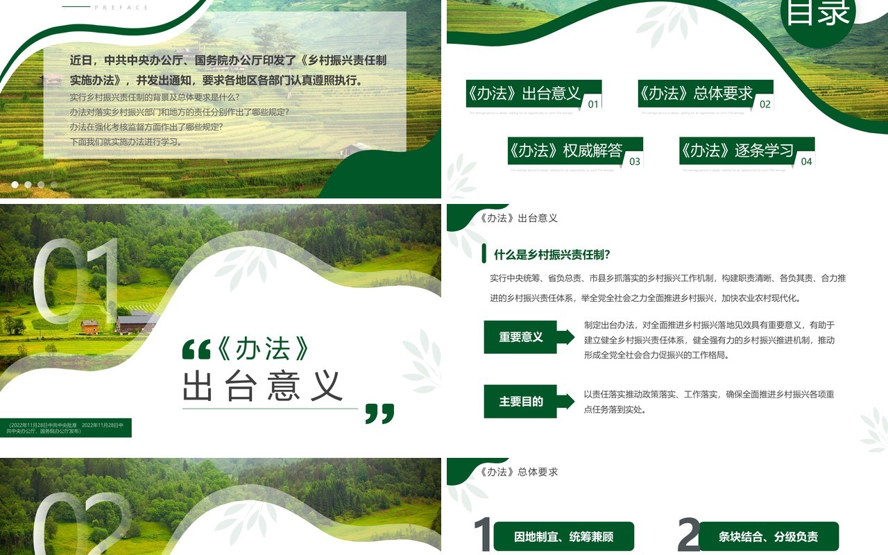 绿色简约风乡村振兴责任制实施办法PPT模板