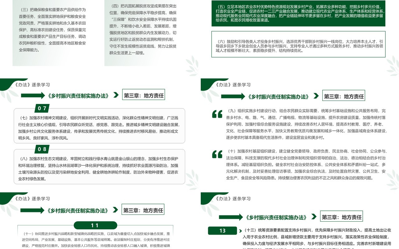 绿色简约风乡村振兴责任制实施办法PPT模板