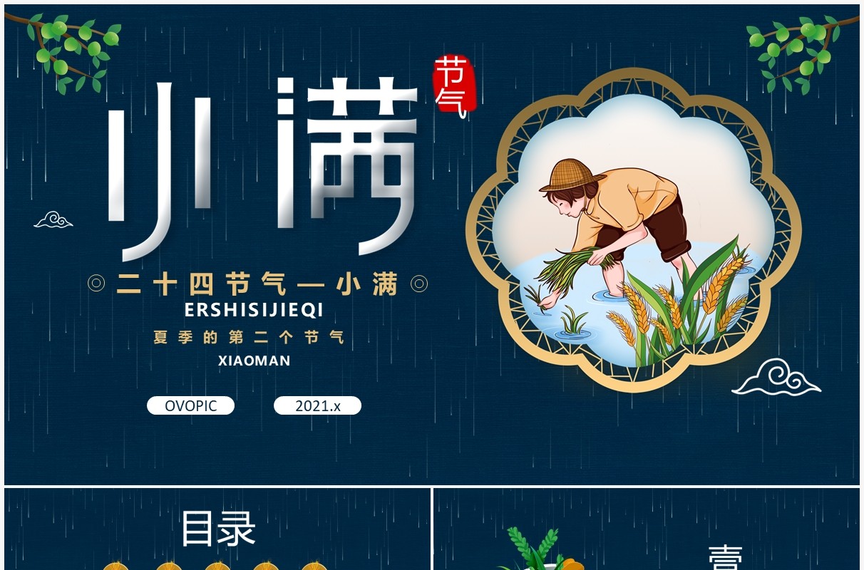 创意卡通风二十四节气小满传统节日介绍动态PPT模板