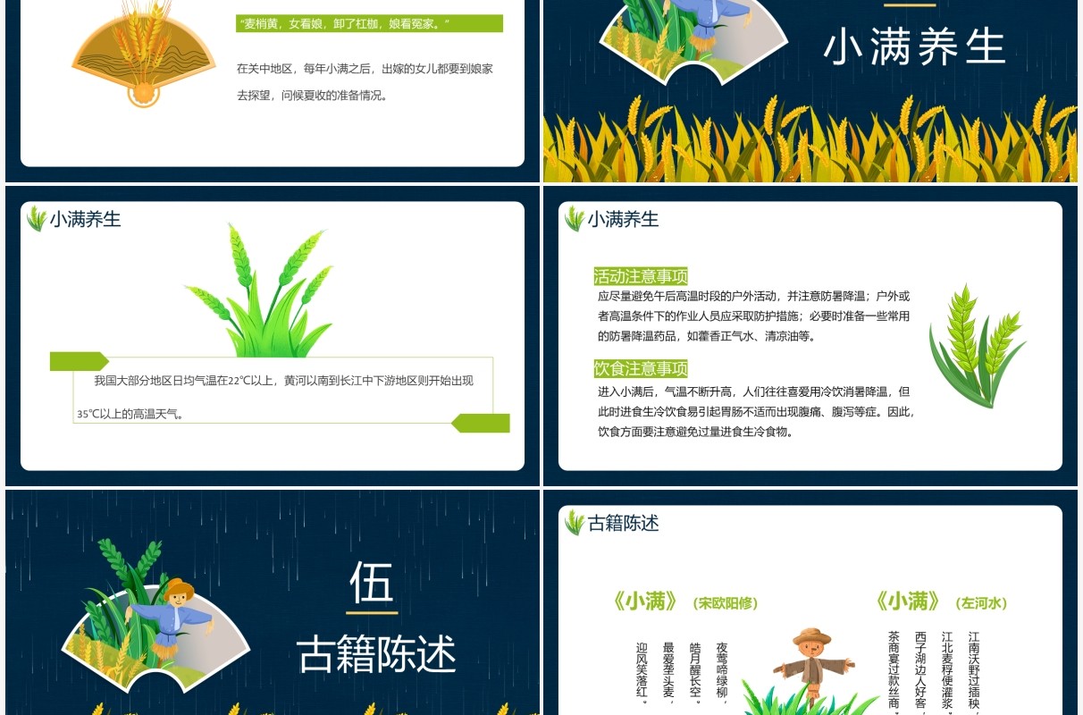创意卡通风二十四节气小满传统节日介绍动态PPT模板