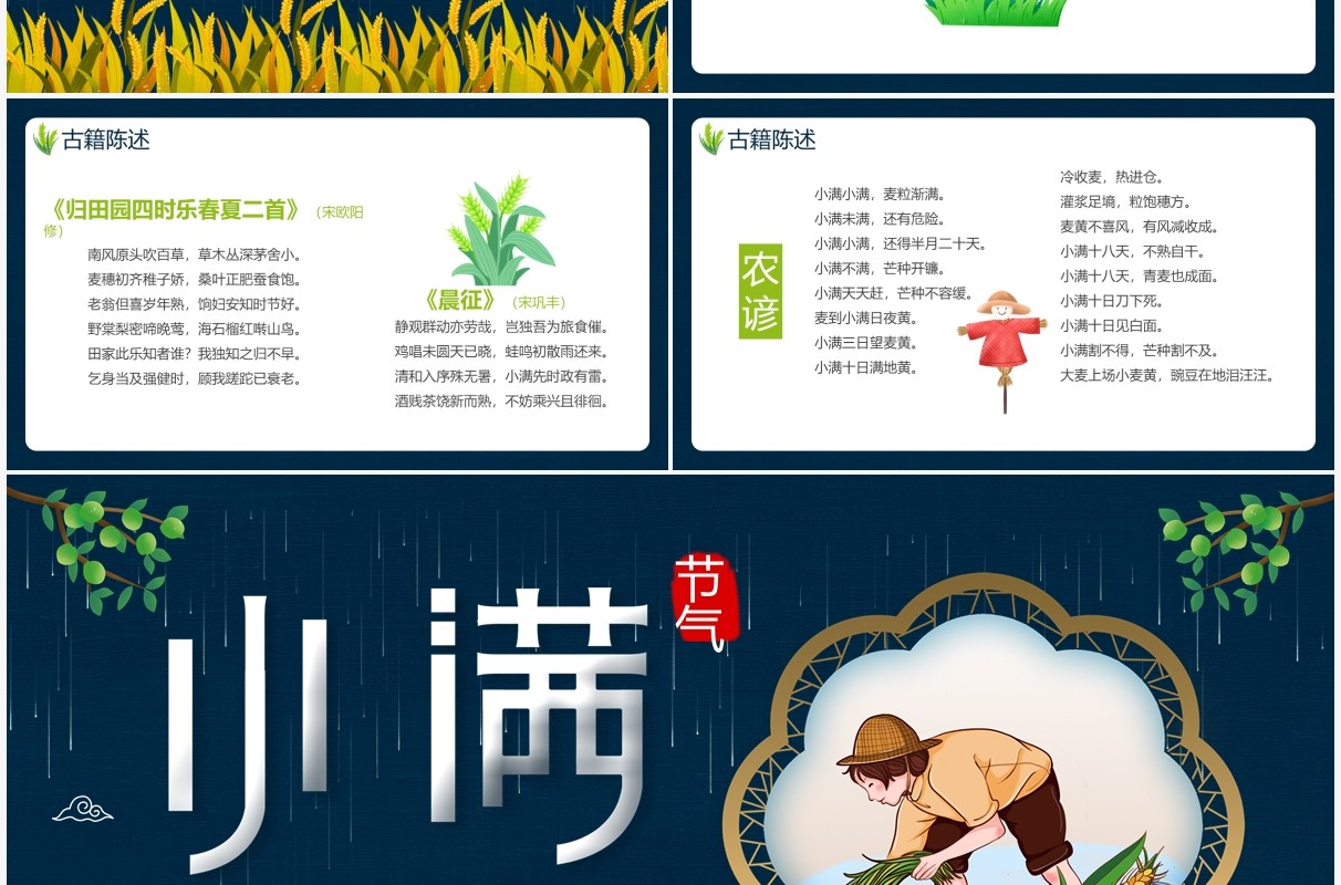 创意卡通风二十四节气小满传统节日介绍动态PPT模板