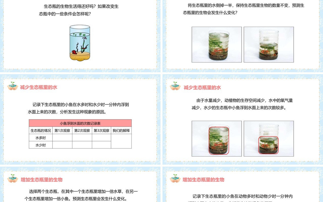教科版五年级科学上册改变生态瓶PPT模板