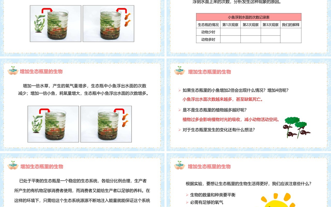 教科版五年级科学上册改变生态瓶PPT模板