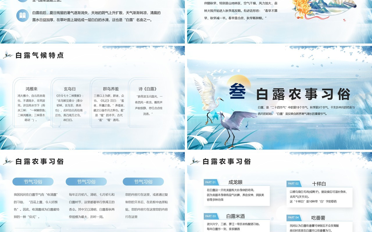 蓝色中国风二十四节气之白露介绍PPT模板