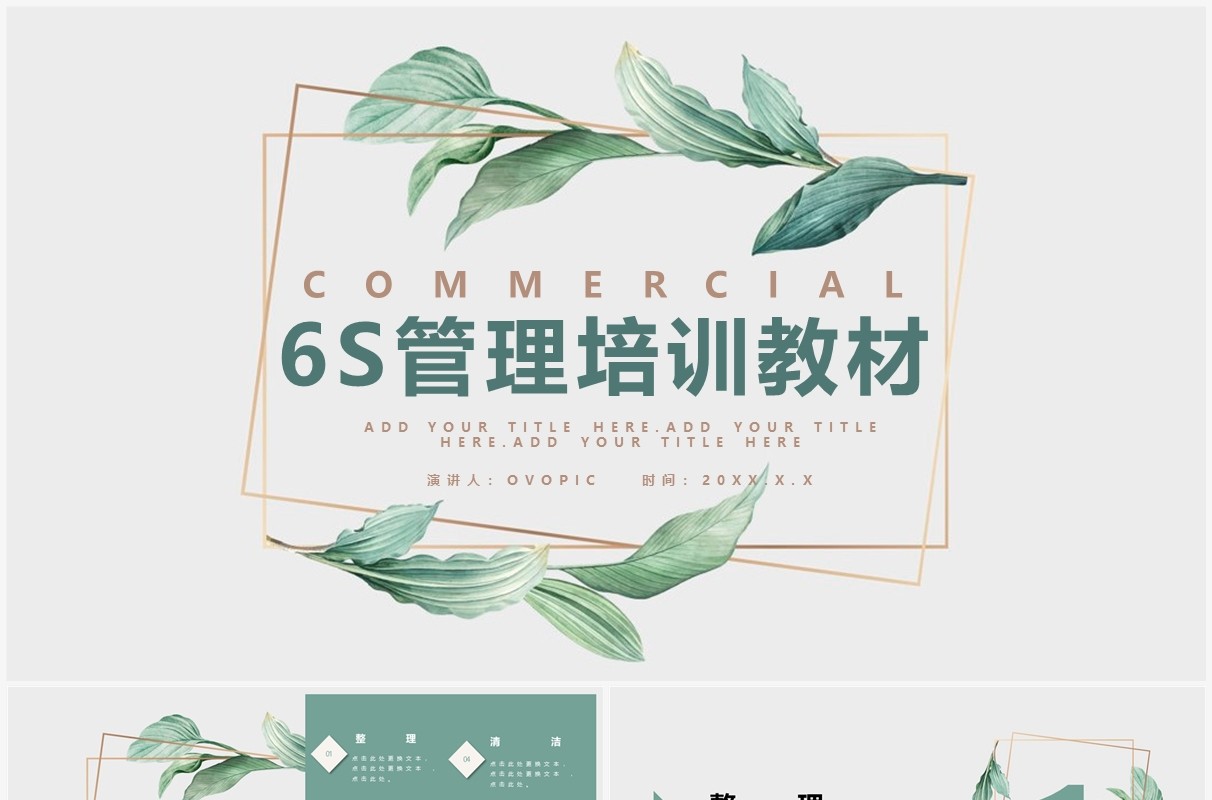 简约小清新6S管理培训PPT模板