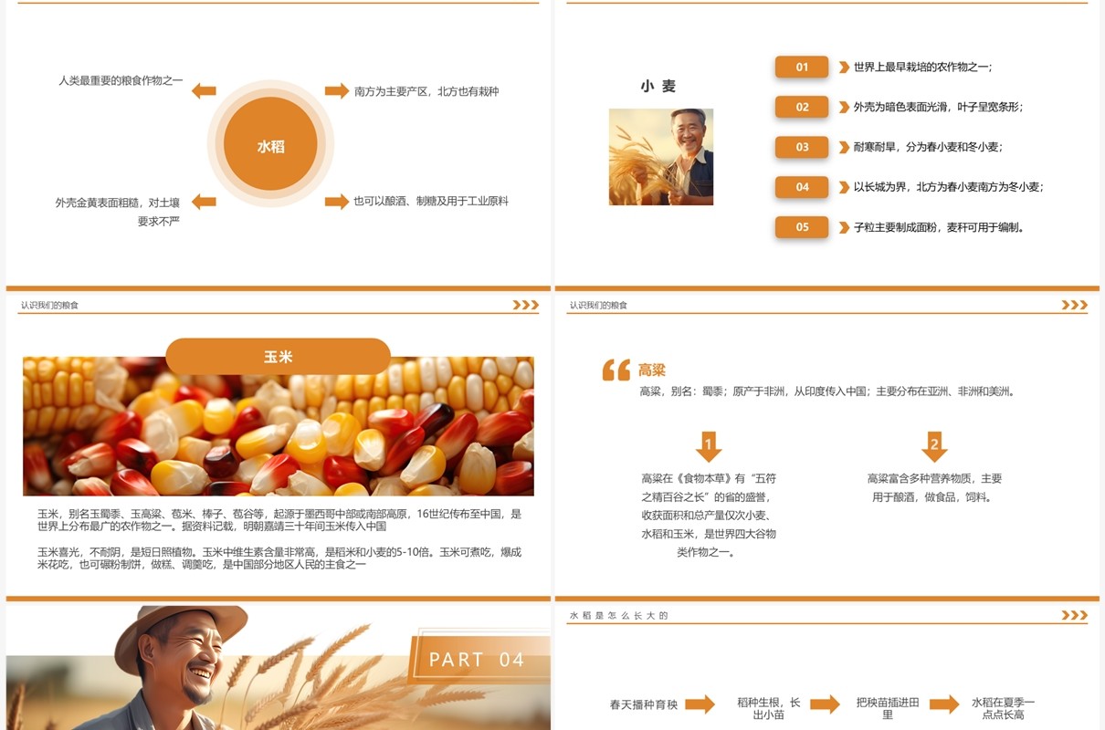 橙色简约风丰收为实硕果为佳PPT模板