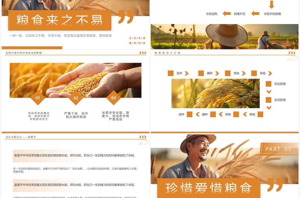 橙色简约风丰收为实硕果为佳PPT模板