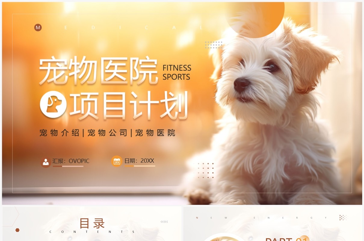 橙色简约风宠物医院项目计划PPT模板