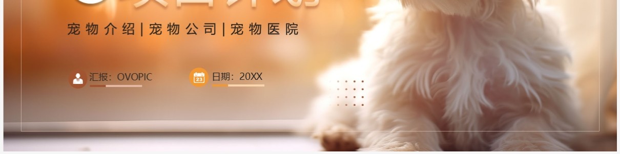 橙色简约风宠物医院项目计划PPT模板