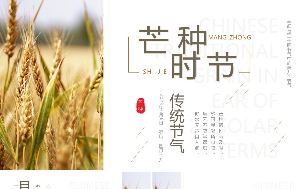 清新简约中国风传统节气之芒种PPT模板
