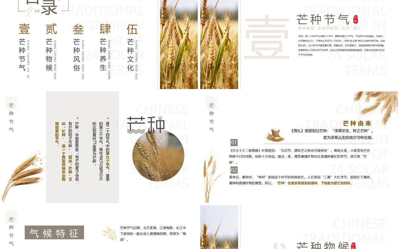 清新简约中国风传统节气之芒种PPT模板