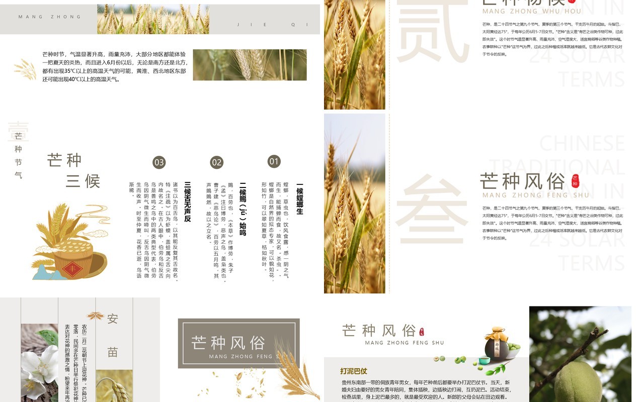 清新简约中国风传统节气之芒种PPT模板