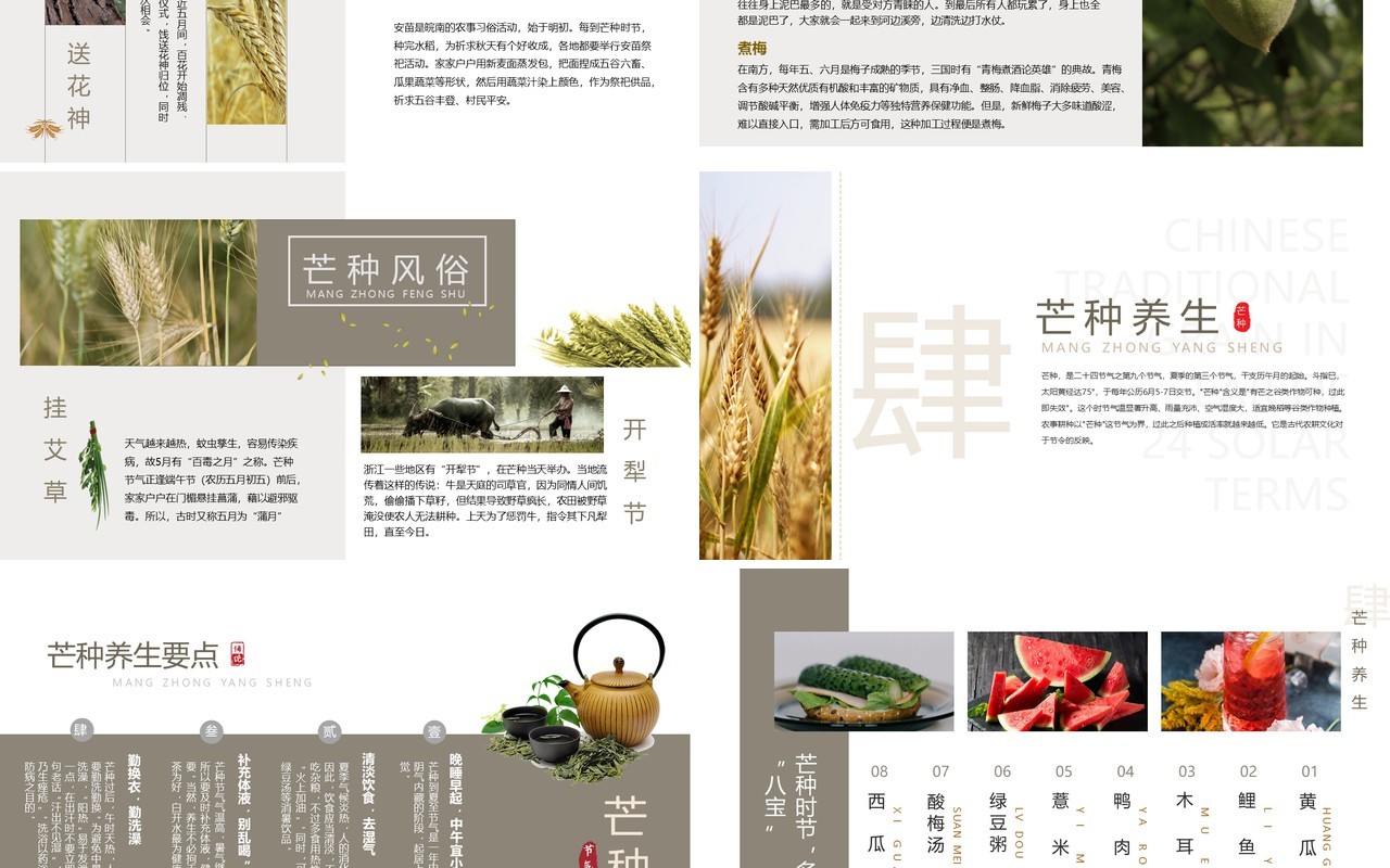 清新简约中国风传统节气之芒种PPT模板